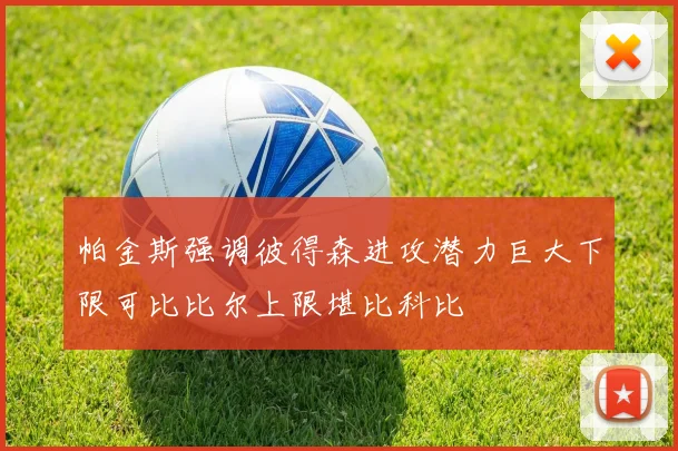 帕金斯强调彼得森进攻潜力巨大下限可比比尔上限堪比科比