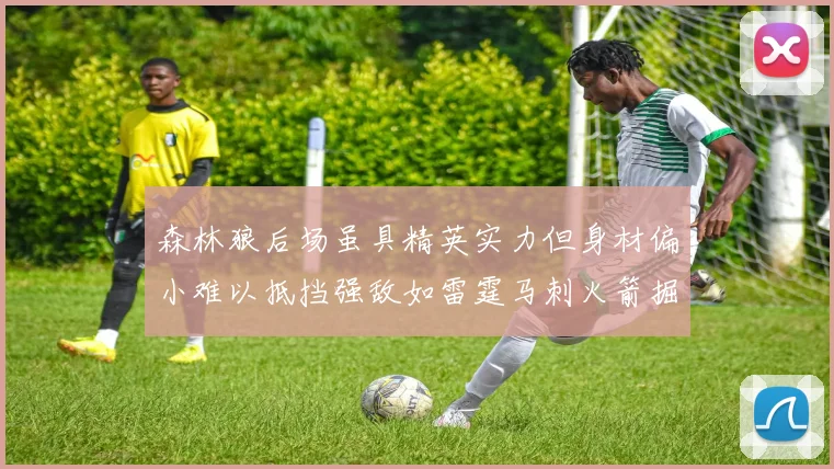 森林狼后场虽具精英实力但身材偏小难以抵挡强敌如雷霆马刺火箭掘金